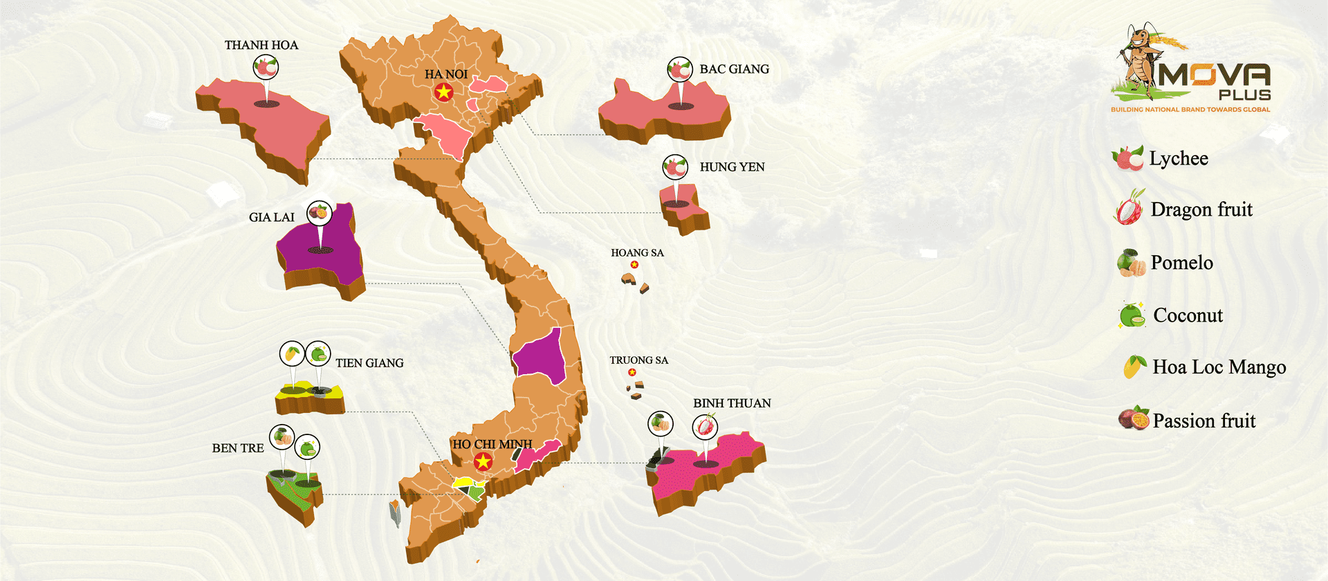 Fruit Orchards